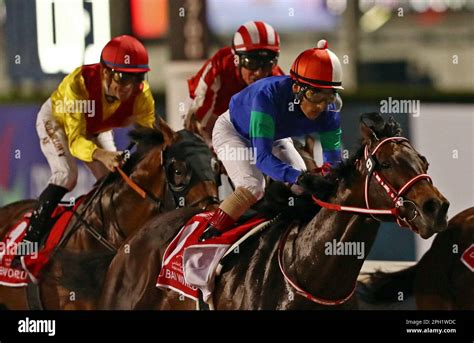 meydan horse results today|16:35 Meydan (UAE) .
